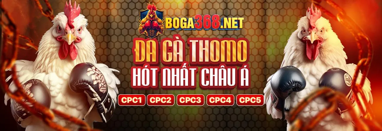 Đá gà trực tuyến xs66 sôi động