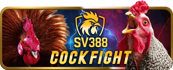 Hotline hỗ trợ xs66